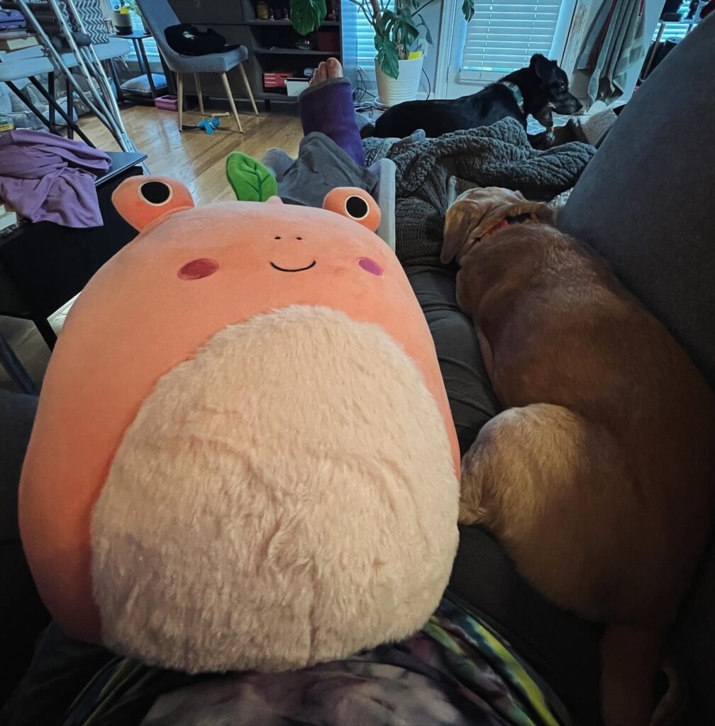 squishmallow